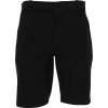 Nike Flex Hybrid Shorts Flat Front Golf Apparel